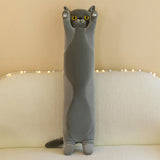 Maxbell Plush Kitty Cushion Lovely Birthday Present Durable Cat Stuffed Throw Pillow Gray 50cm