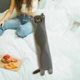 Maxbell Plush Kitty Cushion Lovely Birthday Present Durable Cat Stuffed Throw Pillow Gray 70cm