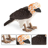 Maxbell Philippine Eagle Toy Figure Realistic Eagle Figurines for Cognitive Toy Kids