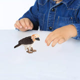 Maxbell Philippine Eagle Toy Figure Realistic Eagle Figurines for Cognitive Toy Kids