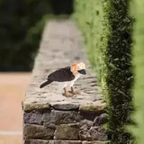 Maxbell Philippine Eagle Toy Figure Realistic Eagle Figurines for Cognitive Toy Kids