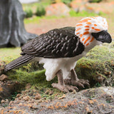 Maxbell Philippine Eagle Toy Figure Realistic Eagle Figurines for Cognitive Toy Kids