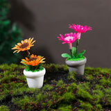 Maxbell 4 Pieces Mini Potted Plant Decoration Miniature Dollhouse Flowers 1 12 Scale