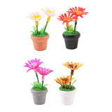 Maxbell 4 Pieces Mini Potted Plant Decoration Miniature Dollhouse Flowers 1 12 Scale