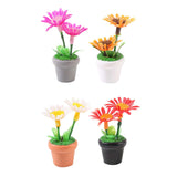 Maxbell 4 Pieces Mini Potted Plant Decoration Miniature Dollhouse Flowers 1 12 Scale