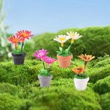 Maxbell 4 Pieces Mini Potted Plant Decoration Miniature Dollhouse Flowers 1 12 Scale