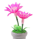 Maxbell 4 Pieces Mini Potted Plant Decoration Miniature Dollhouse Flowers 1 12 Scale