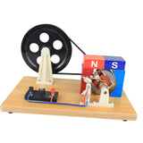 Maxbell Light Bulb Science Experiments Kits Kids Teens Hand Cranked Power Generation