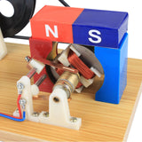 Maxbell Light Bulb Science Experiments Kits Kids Teens Hand Cranked Power Generation