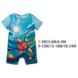 Maxbell Newborn Bodysuit Lovely Baby Romper for Photograph Props Birthday Daily Wear 1 to 3 months