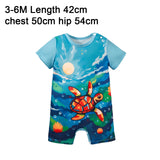 Maxbell Newborn Bodysuit Lovely Baby Romper for Photograph Props Birthday Daily Wear 3 to 6 months