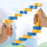 Maxbell Coordination Game Balanced Board Game for Holiday Present Gathering Activity A