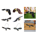 Maxbell Simulated Eagle Model Play Toy Animal Bird Toy for Girls Kids Education Gift L black