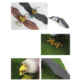 Maxbell Simulated Eagle Model Play Toy Animal Bird Toy for Girls Kids Education Gift L black