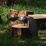 Maxbell Simulated Eagle Model Play Toy Animal Bird Toy for Girls Kids Education Gift L black