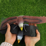 Maxbell Simulated Eagle Model Play Toy Animal Bird Toy for Girls Kids Education Gift L Brown