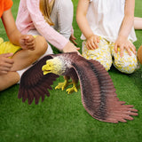 Maxbell Simulated Eagle Model Play Toy Animal Bird Toy for Girls Kids Education Gift L Brown