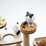 Maxbell 1/12 Dollhouse Cat Climbing Frame for Micro Landscape Sand Table Accessories