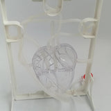 Maxbell Heart Circulation Model Simulation Science Experiment for Students Classroom