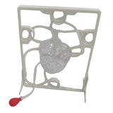 Maxbell Heart Circulation Model Simulation Science Experiment for Students Classroom