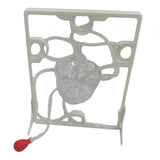 Maxbell Heart Circulation Model Simulation Science Experiment for Students Classroom