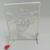 Maxbell Heart Circulation Model Simulation Science Experiment for Students Classroom