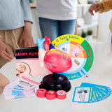 Maxbell Human Heart Model Life Size Learning Tool for Studying Exhibition Displaying