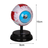 Maxbell Human Eye Anatomical Model Enlarged Eyeball Model for Display Students Study