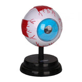 Maxbell Human Eye Anatomical Model Enlarged Eyeball Model for Display Students Study