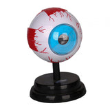 Maxbell Human Eye Anatomical Model Enlarged Eyeball Model for Display Students Study