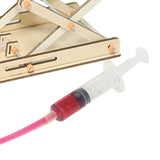 Maxbell Hydraulic Experiment Lift Table Science Teaching Beginners Stem Science Kits