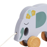 Pull Along Walking Toys Developmental Toy Cartoon Montessori Toys Boys Girls elephant