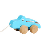 Pull Along Walking Toys Developmental Toy Cartoon Montessori Toys Boys Girls crocodile