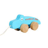 Pull Along Walking Toys Developmental Toy Cartoon Montessori Toys Boys Girls crocodile