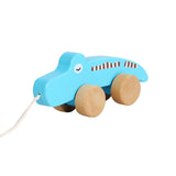 Pull Along Walking Toys Developmental Toy Cartoon Montessori Toys Boys Girls crocodile