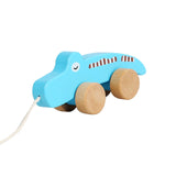 Pull Along Walking Toys Developmental Toy Cartoon Montessori Toys Boys Girls crocodile