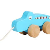 Pull Along Walking Toys Developmental Toy Cartoon Montessori Toys Boys Girls crocodile