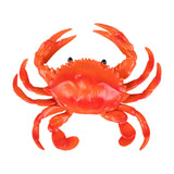 Realistic Crab Figurine Kid Toy Sea Animal Figures Model for Girls Teens Children