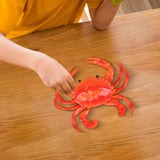 Realistic Crab Figurine Kid Toy Sea Animal Figures Model for Girls Teens Children