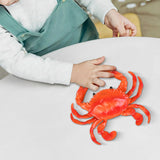 Realistic Crab Figurine Kid Toy Sea Animal Figures Model for Girls Teens Children