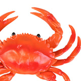 Realistic Crab Figurine Kid Toy Sea Animal Figures Model for Girls Teens Children