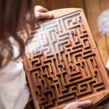 Labyrinth Wooden Maze Game for Kids, Teens Education and Fun Boys, and Girls