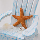 Maxbell Maxbell 2x Beach Nautical Theme Mini Chair and Chest for Living Room Home Countertop Sea Star