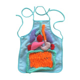 3D Organ Apron Science Children Learning Apron for School Viscera Body Parts blue