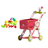 Maxbell Mini Shopping Cart Toy for Kids Supermarket Handcart Toy for Baby Boys Girls with Play Accessory