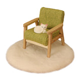 Dollhouse Wooden Chair with Cat 1:12 Dollhouse Rug for Micro Landscape Decor