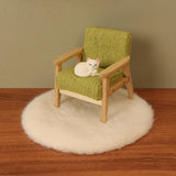 Dollhouse Wooden Chair with Cat 1:12 Dollhouse Rug for Micro Landscape Decor