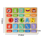 Puzzle Game Practicing Sensory Toy Practical Matching Blocks Montessori Toy Organ