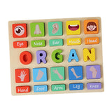 Puzzle Game Practicing Sensory Toy Practical Matching Blocks Montessori Toy Organ