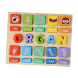 Puzzle Game Practicing Sensory Toy Practical Matching Blocks Montessori Toy Organ